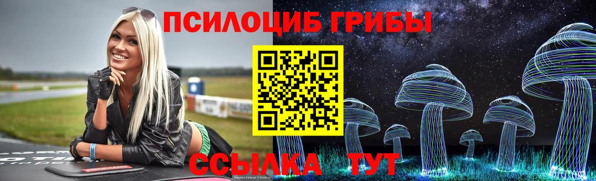 Ревда  Псилоцибиновые грибы Magic Shrooms  Псилоцибиновые грибы MAGIC MUSHROOMS  Вход с VPN 